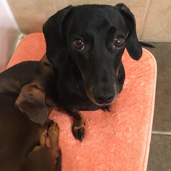 Meet your Posher, Laura - Picture 9 of 12